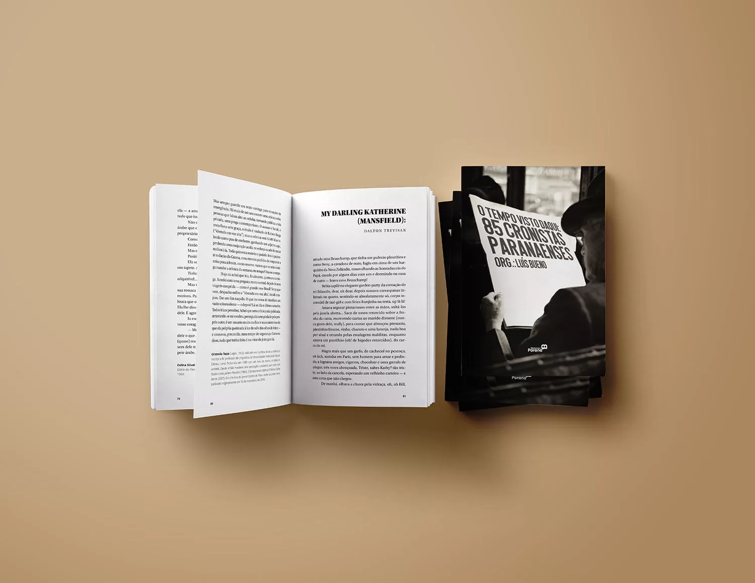 Livro o Tempo Visto Daqui: 85 Cronistas Paranaense