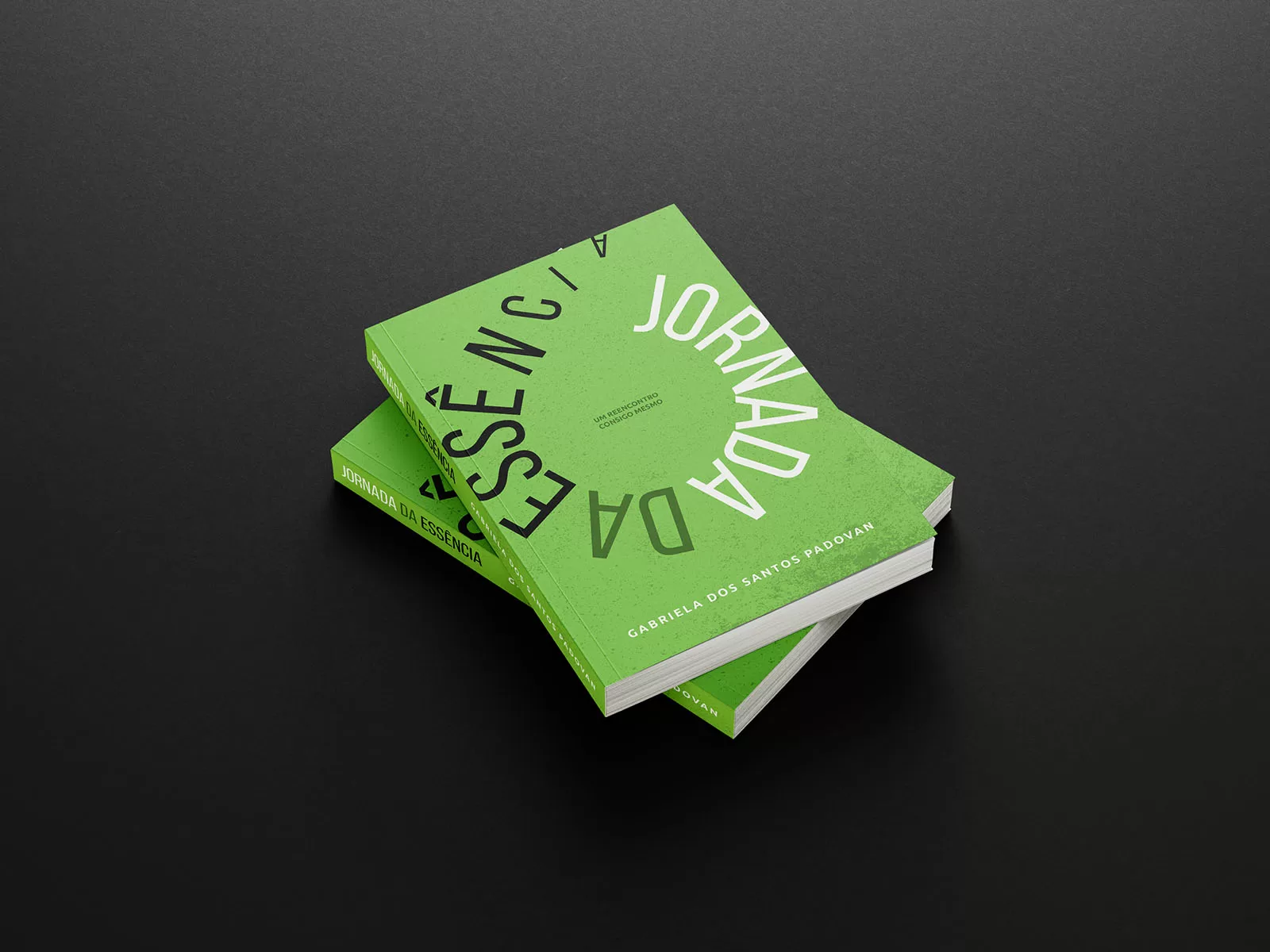 Livro A jornada da essência