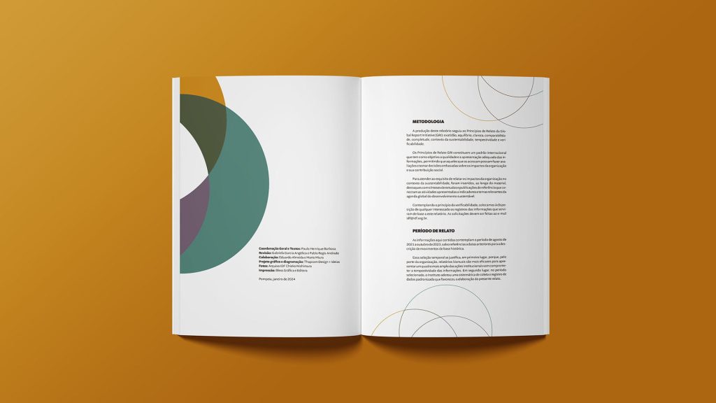 Páginas internas do Relatório de Impacto Social IDF - Design Estúdio Thapcom
