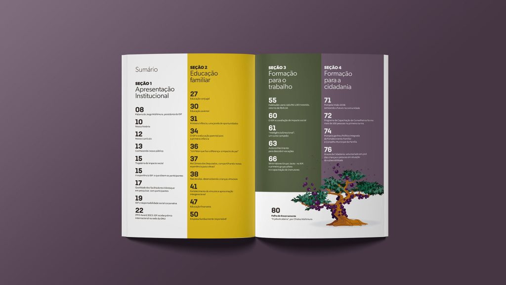 Sumário do Relatório de Impacto Social IDF - Design Estúdio Thapcom